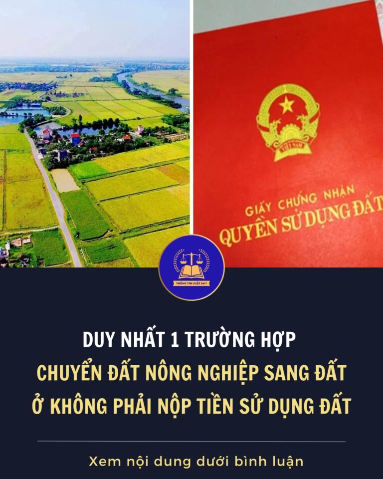 Thủ tục cấp sổ Đỏ cho diện tích đất tăng thêm bạn cần biết