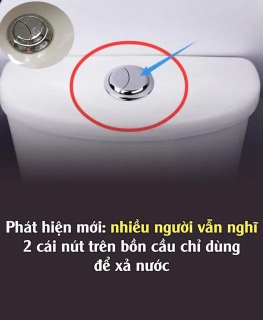 Hóa ra tôi đã nhấn nút bồn cầu sai cách, làm lãng phí rất nhiều nước mà không hay