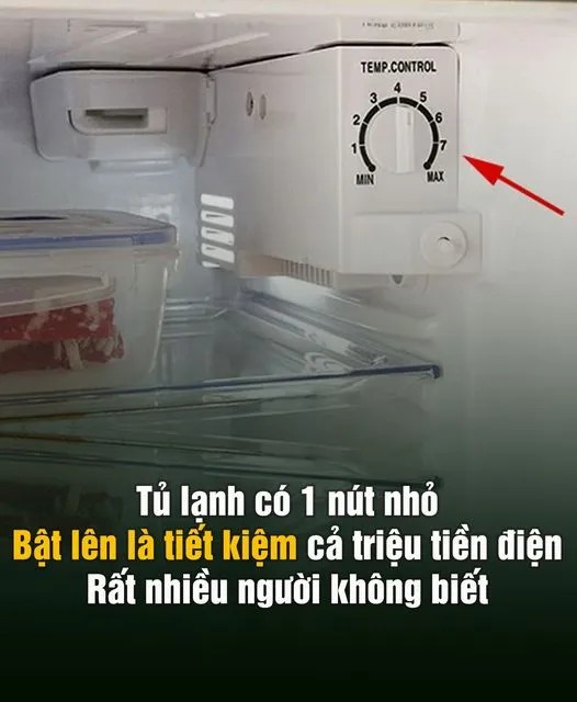 Tủ lạnh có 1 nút n.hỏ bật lên là tiết k.iệm cả triệu tiền điện: Rất nhiều người không biết..