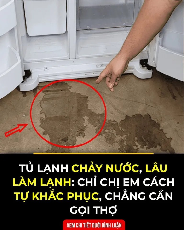 Tủ lạnh chảy nước, lâu làm lạnh: Chỉ chị em cách tự khắc phục, chẳng cần gọi thợ.