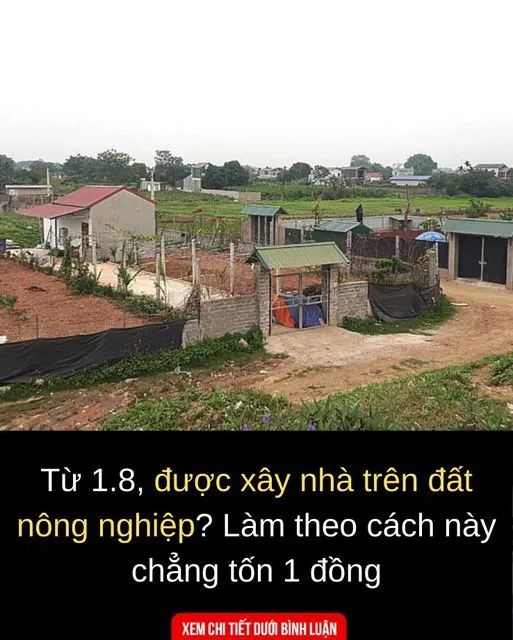 Từ 1.8, được xây nhà trên đất nông nghiệp? Làm theo cách này chẳng tốn 1 đồng