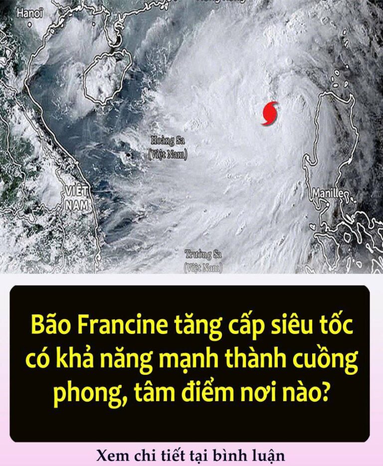 Bão Francine tăng cấp siêu tốc có khả năng mạnh thành cuồng phong,tâm điểm nơi nào?