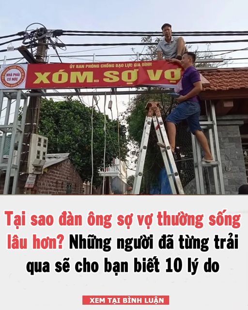 Nghiên cứu ch,ứng minh: Na,m giới “sợ” vợ sẽ số,ng thọ và có ít nhất 10 lợi ích tuyệt vời này