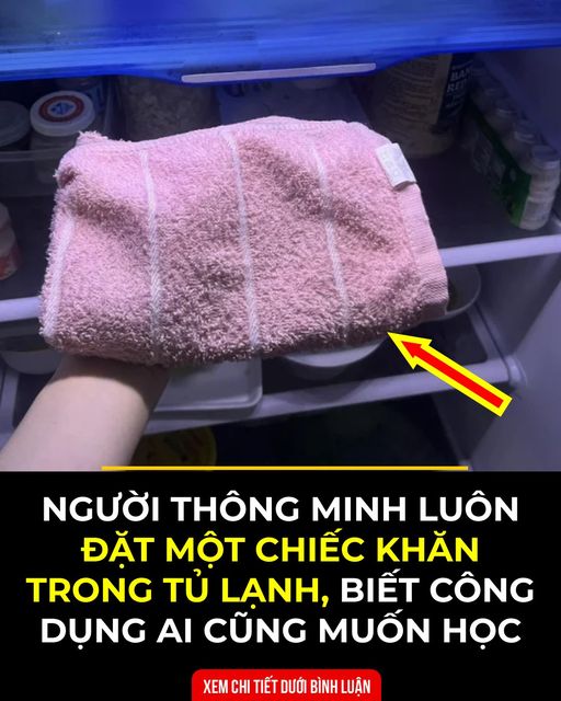 Việc để một chiếc k,hăn trong tủ lạnh sẽ giúp giải q,uyết vấn đề mà nhà nào cũng gặp phải.