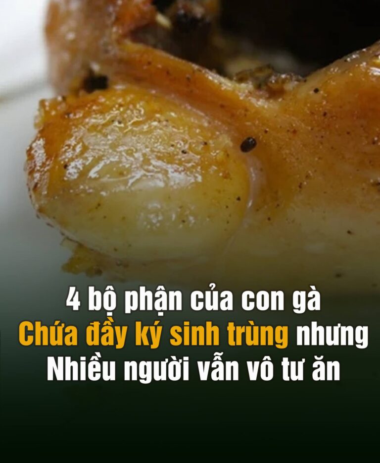 4 bộ phận của con gà chứa đầy k,ý sinh tr,ùng nhưng nhiều người vẫn vô tư ăn ..