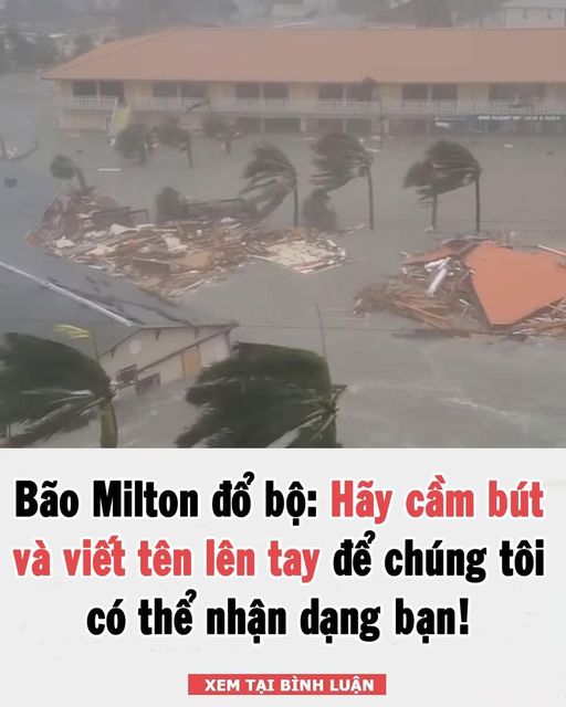 Không ít người đã lựa chọn “cố thủ” lại khu vực Floria (Mỹ) dù cơn bão mạnh nhất hành tinh Milton đang đến gần.