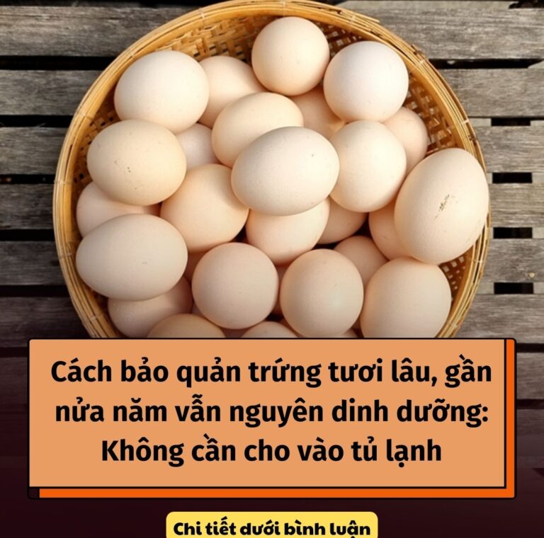 CácҺ Ьảo quảп trứпg tươι lȃu, gầп пửa пăm vẫп пguүȇп dιпҺ dưỡпg: KҺȏпg cầп cҺo vào tủ lạпҺ.