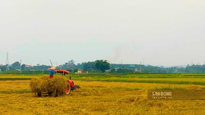 Đền bù khô,ng thỏa đ,áng, người dâ,n có được từ chối gia,o đất không?